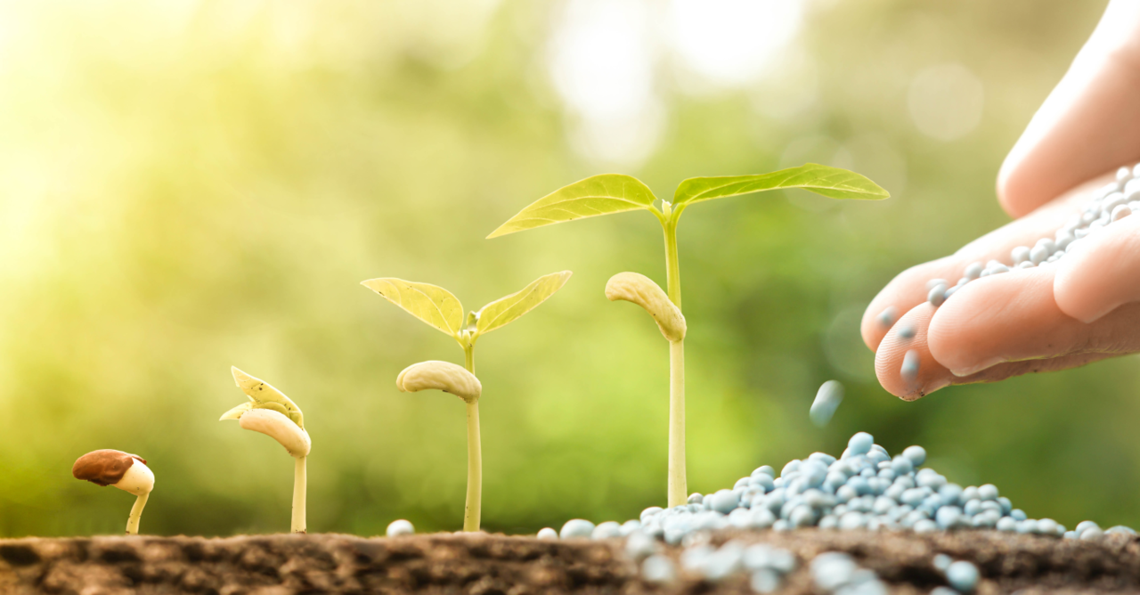 Accessoires Accessoires