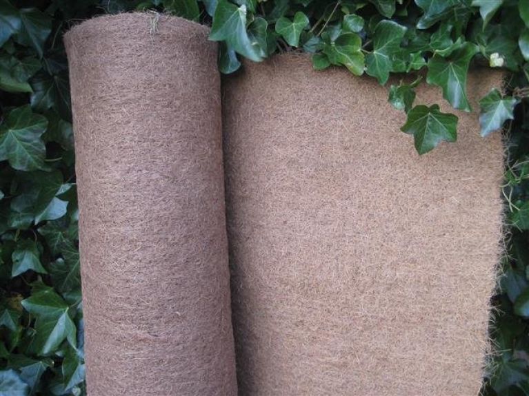 Epipremnum Pinnatum Global Green blad