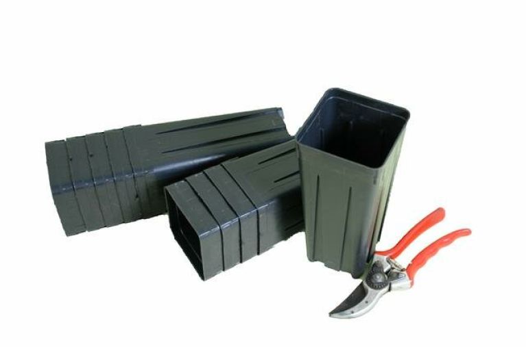 Syngonium Red Spot blad