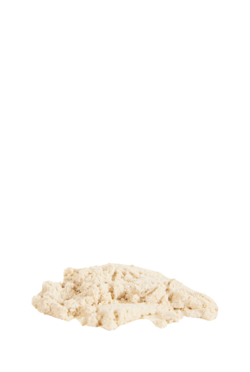 Biologische ongedierte bestrijding felti inhoud